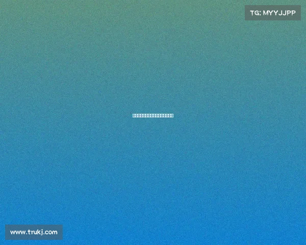 跑步赛事规程表—跑步赛事规程表格